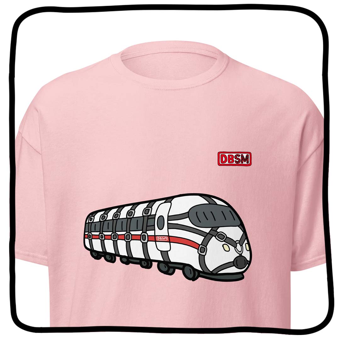 dbsm train