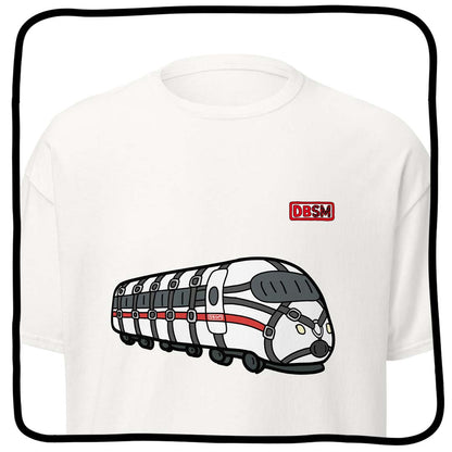 dbsm train