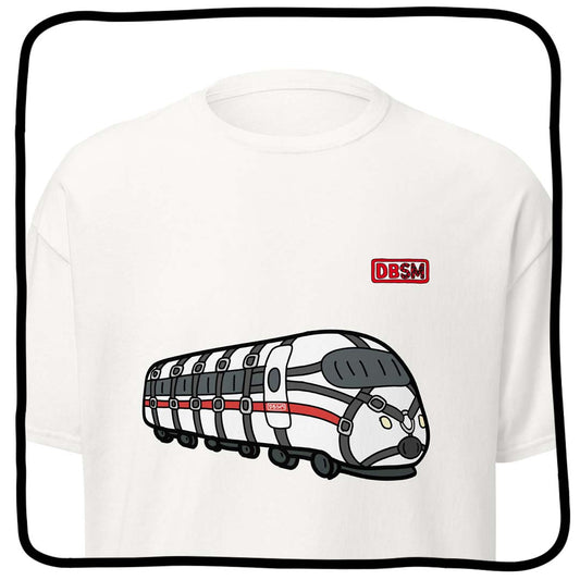 dbsm train